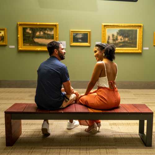 Couple looking at Art in the Museum