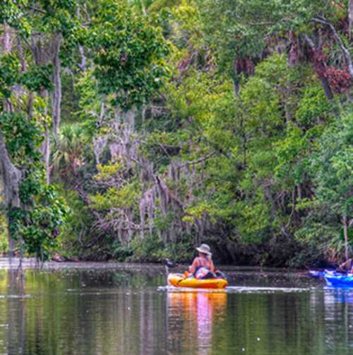 Two people experience an eco adventure by kayaking along a creek