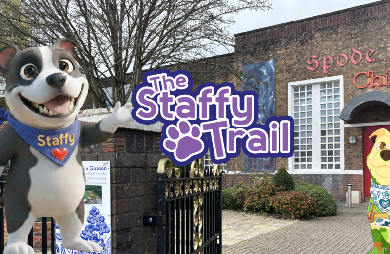 Infographic promoting the Staffy Trail in Stoke shows Spode Museum in the background with Staffy Trail logo, Staffy and a decorated Staffy sculpture