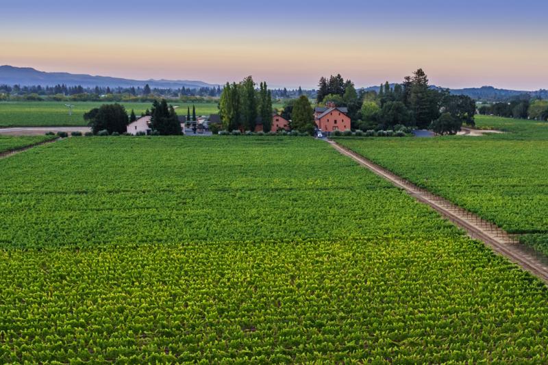 Trefethen Family Vineyards from above cropped