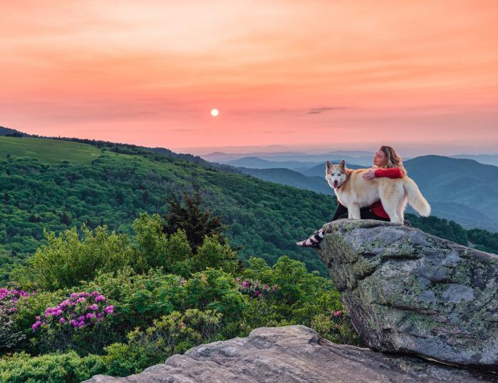 A dog and its person sit on a rock overlooking a colorful mountain sunset, with pink rhododendron in the valley below them.