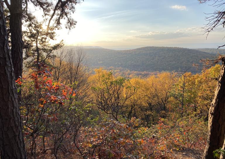 View from the top of King's Gap in the fall