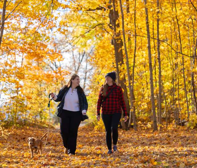 Governor Nelson State Park - Fall Colors + things to do