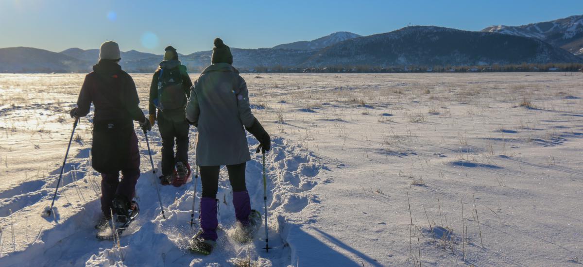 Three people Snowshoeing on the Swaner Preserve in the morning