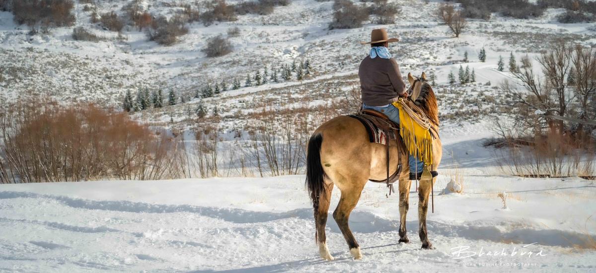 Small Town Mama Tee – Horse Creek Outfitters