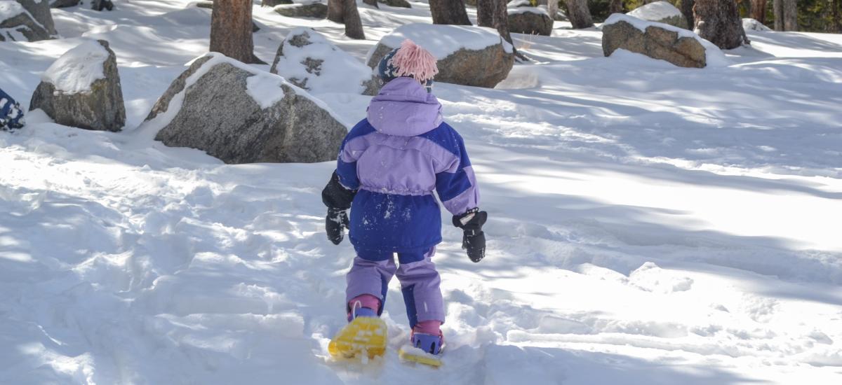 Small child Snowshoeing