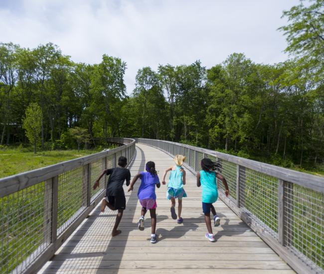 Flat Fork Creek ParkPhoto by: Eldon Lindsay