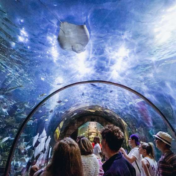 Audubon Aquarium