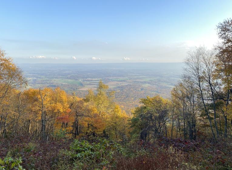 Three Hollow Square Overlook