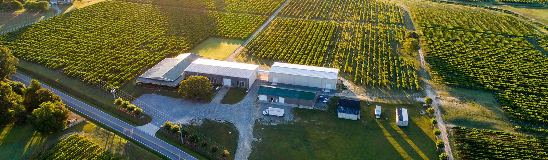 Aerial drone shot of Hinnant Vineyards located in Pine Level, NC.