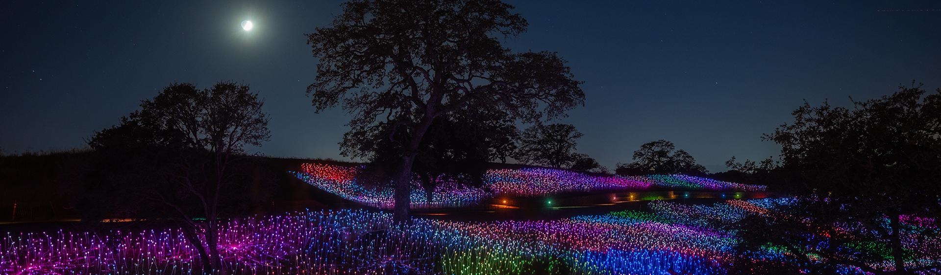 Sensorio Sensorio In Paso Robles To Unveil 2 New Light Installations