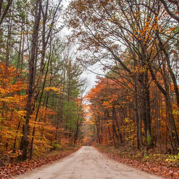 Hoosier National Forest during fall