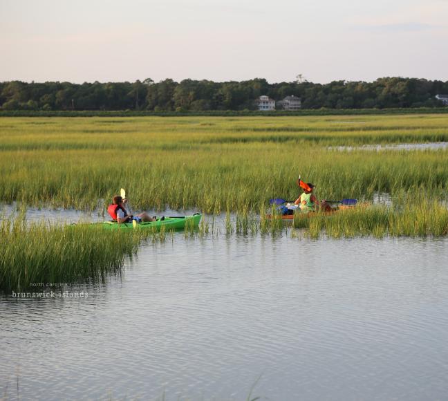 two people kayaking through marsh grasses