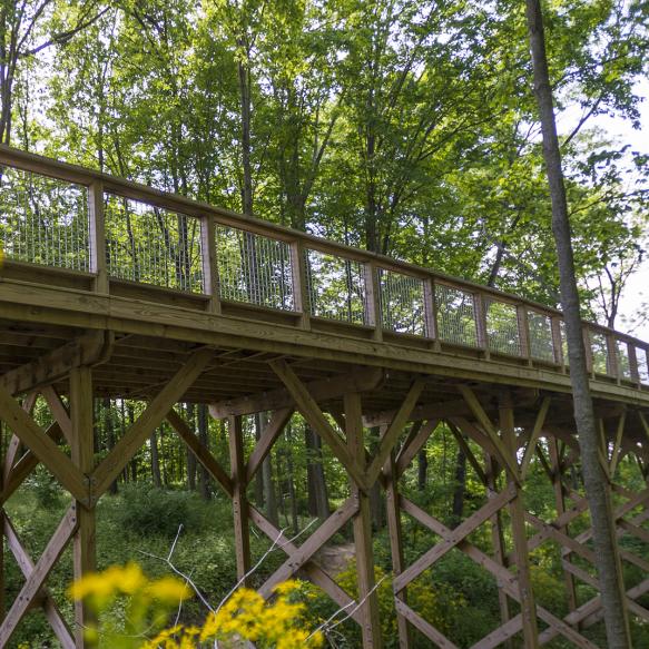 Things To Do Attractions Shopping In Hamilton County