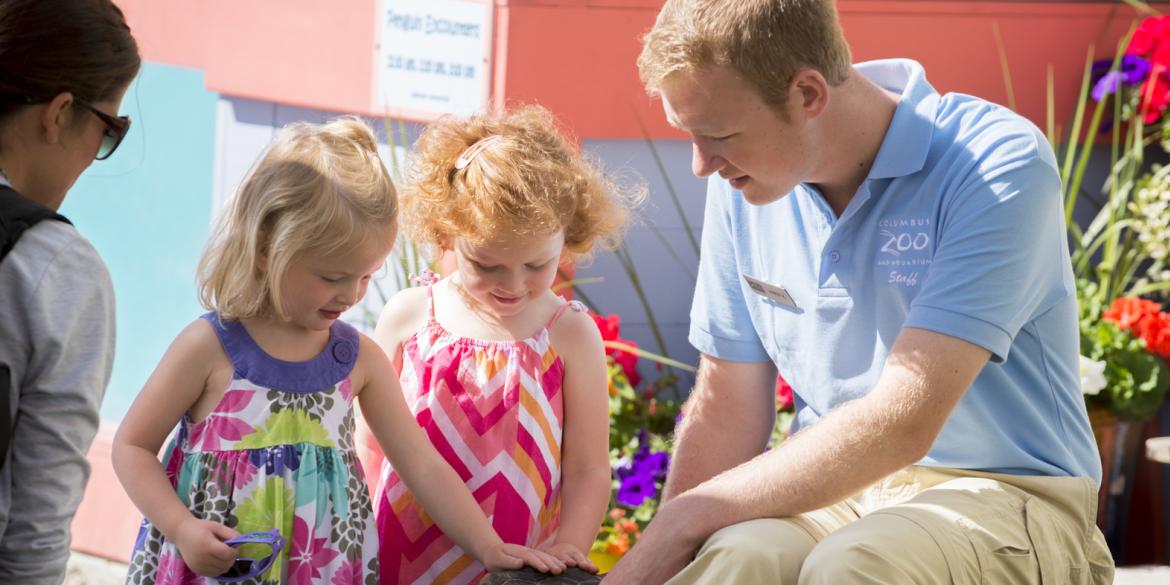 Family Petting a Turtle