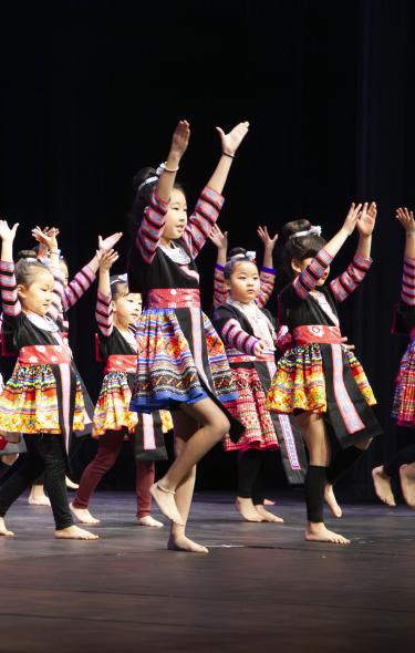 hmong new year dress Hmong dress for women, Ethnic embroidered Hmong clothes, Hill tribe Handmade Hmong outfit, Hmong Traditional costumes in Vietnam