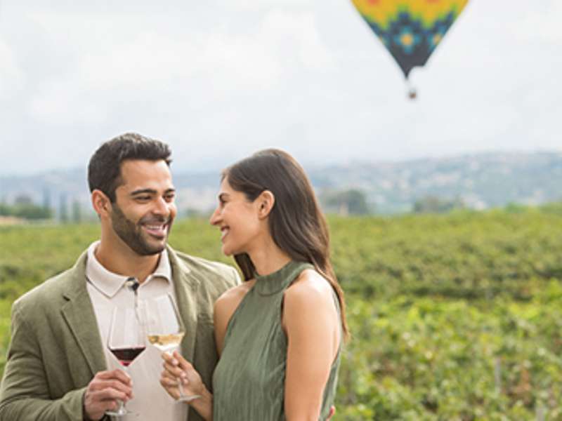 Couple in the vineyards