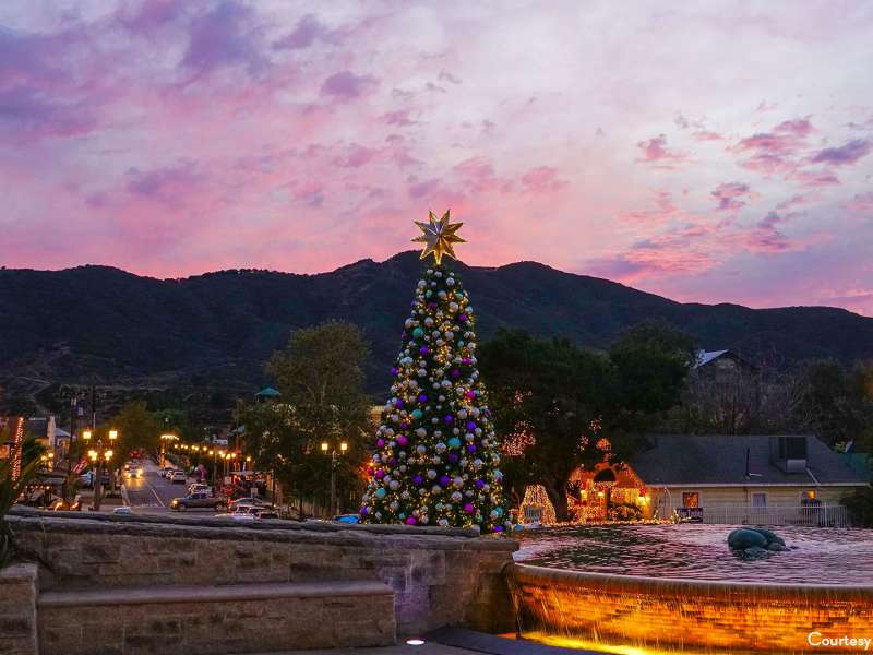 Temecula Chilled Christmas Tree
