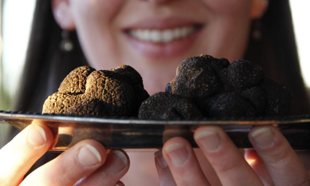 Napa Valley Truffle Festival