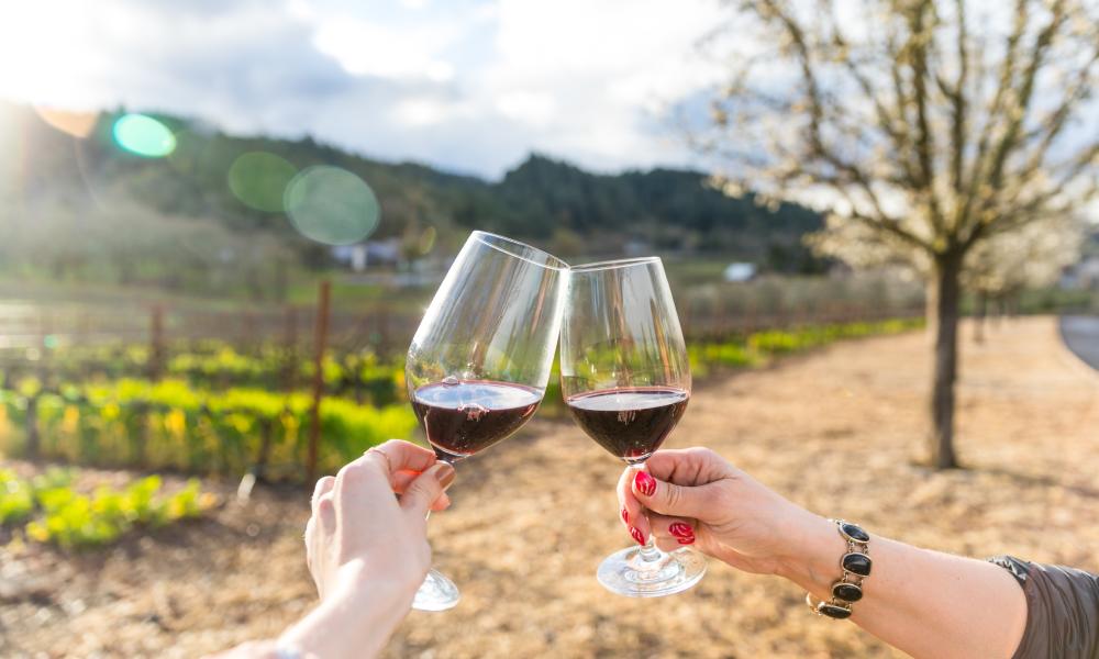 Toasting Glasses of Cabernet at Napa Valley Vineyard