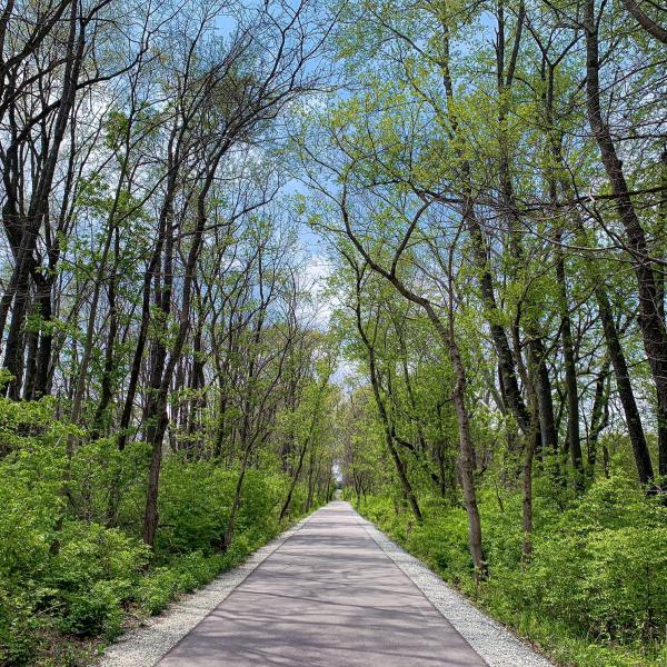 Limestone Greenway during spring