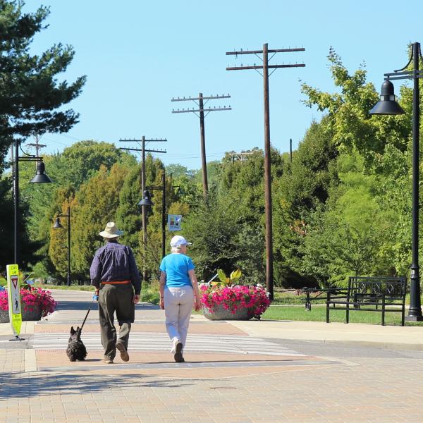 A senior couple walking with their dog on the B-Line Trail