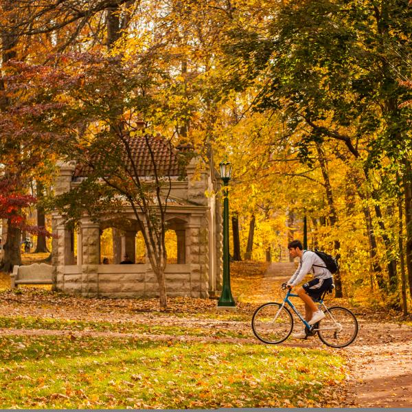Top Things to Do in Bloomington in the Fall Visit Bloomington