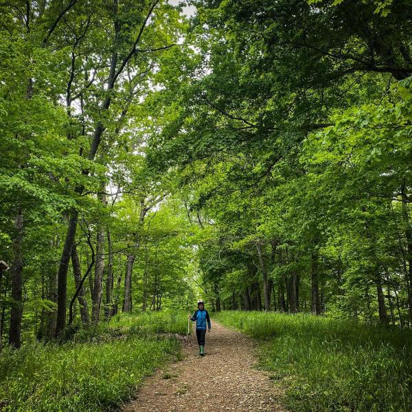Boy walking on a path surrounded by trees carrying a walking stick at the Amy Weingartner Branigin Peninsula