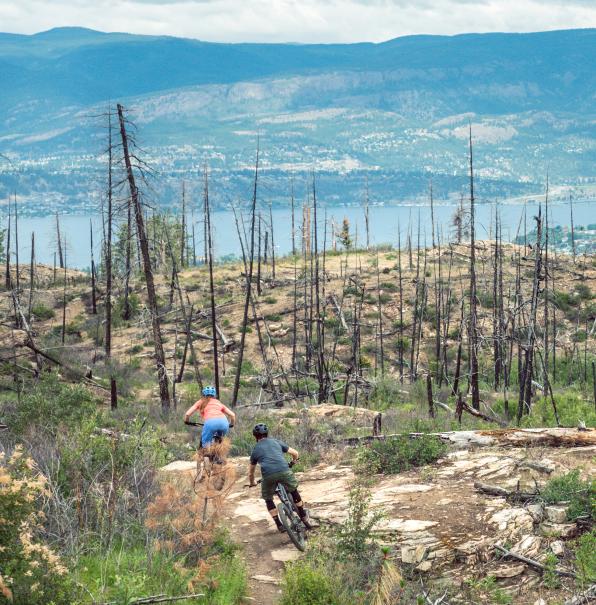Kelowna Mountain Biking Biking Trails For All Riding Abilities