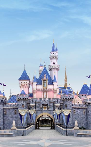 200+] Disneyland Castle Wallpapers