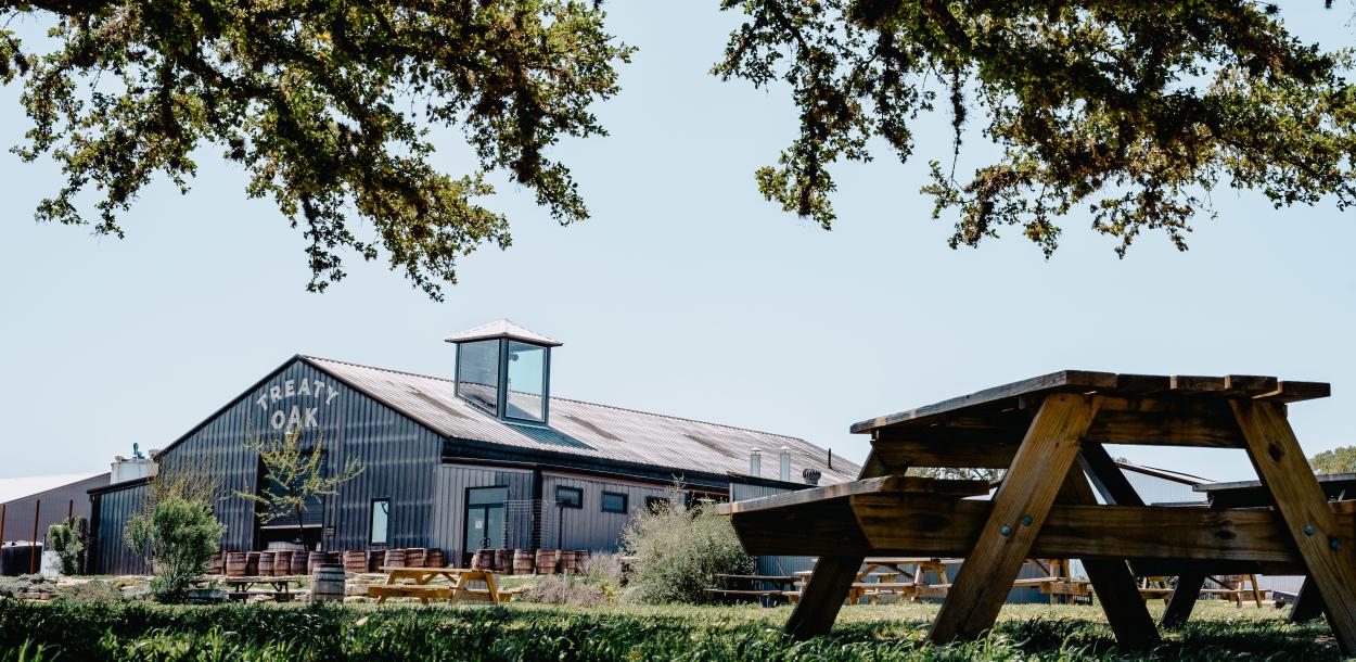 picnic table under shady tree at Treaty Oak Distilling near Austin Texas