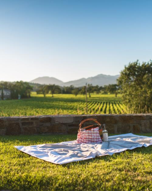 Best Wineries & Parks to Picnic in Napa Valley