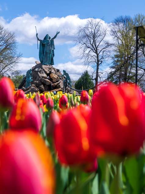 Spring Flower Shows and Festivals in New York State