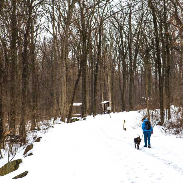 York County Rail Trail Authority