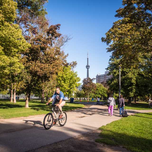 People ride their bikes through Trinity Bellwoods Park with a view of the CN Tower in the background