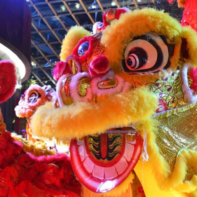 Lion dance performance for Chinese New Year