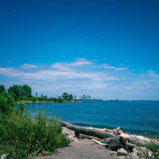 View of the Toronto Skyline from Humber Bay Shores
