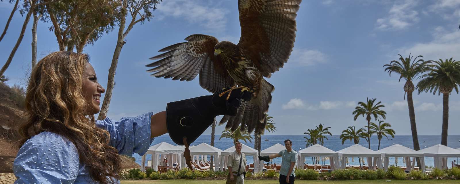 Catalina Falconry Experience Catalina Island Tours Activities