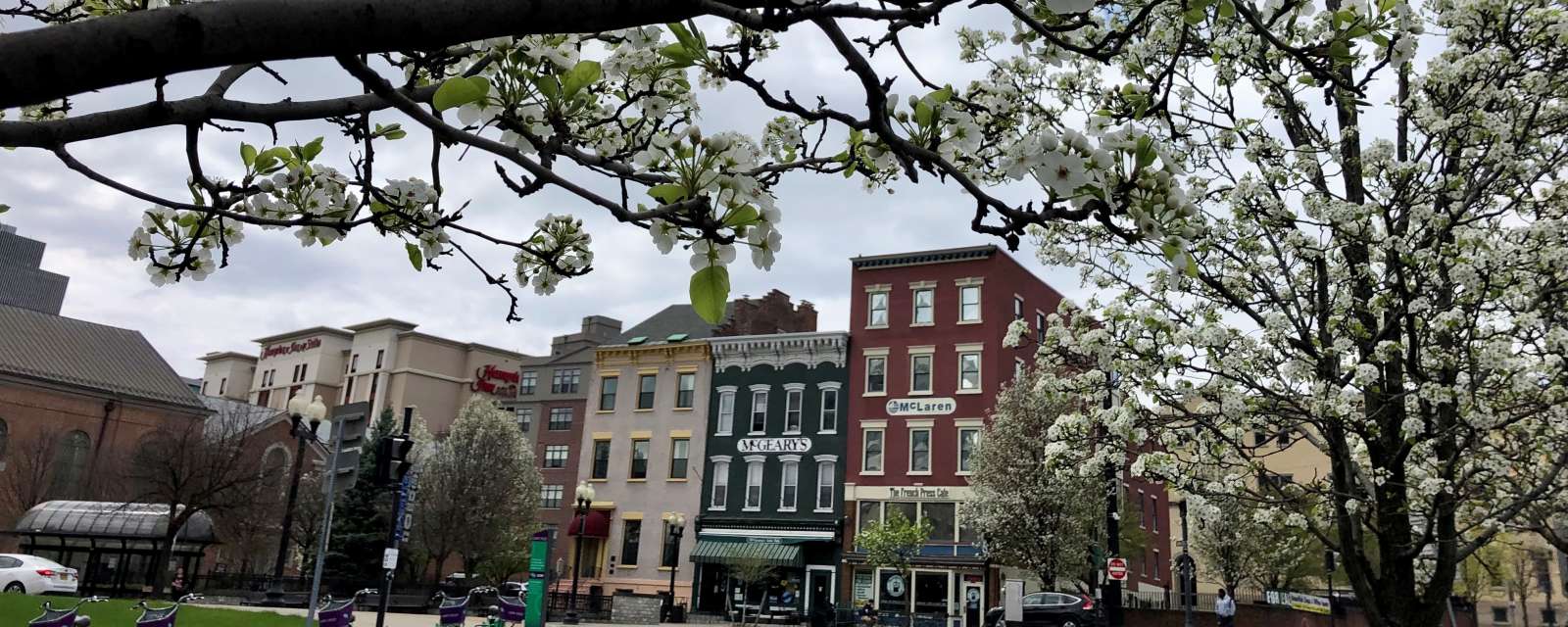 Spring blooms in downtown Albany