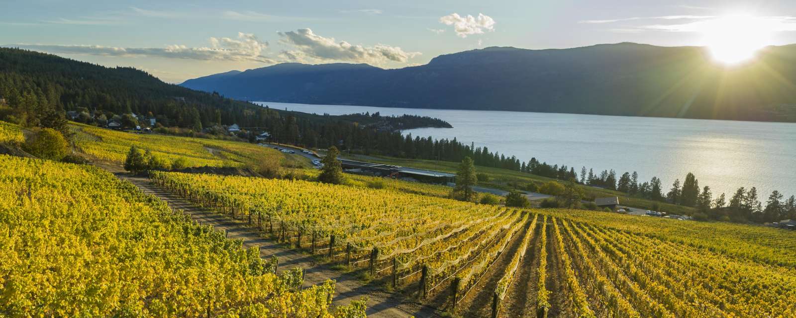 Okanagan valley wine 2025