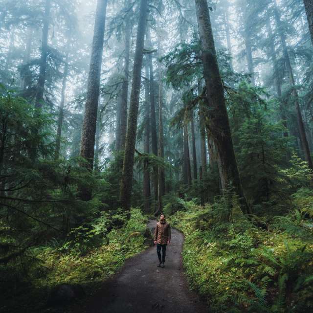 Picture at Olympic National Park, taken by @HelloEmilie & @JasonCharlesHill during their trip to Bellevue. Picture at Olympic National Park, taken by @HelloEmilie & @JasonCharlesHill during their trip to Bellevue.