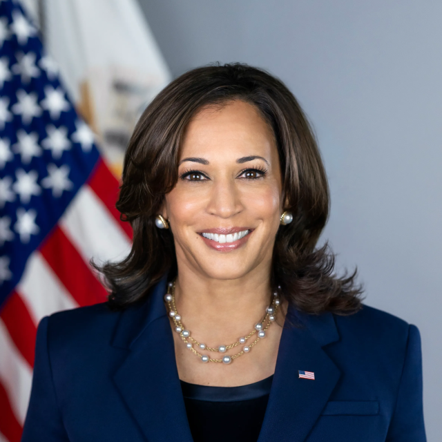 Vice President Kamala Harris - Official Headshot from the U.S. Government website