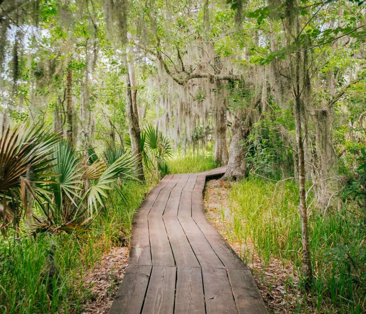 Barataria Preserve