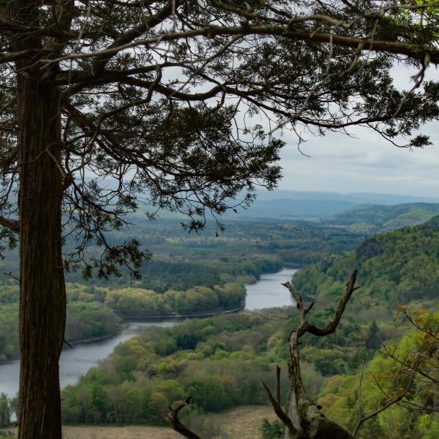 Pocono Mountain State Forest