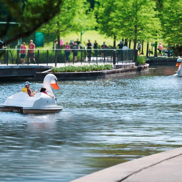 Swan Boats and Runner on The Waterway