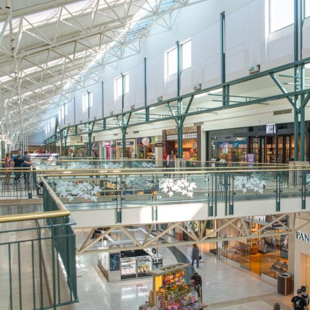 Q A Ted Harris The Woodlands Mall