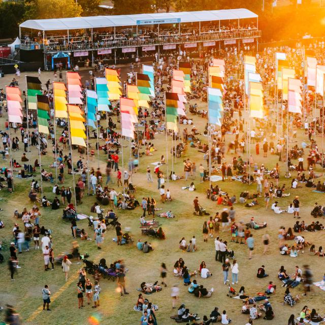 Vibrant Music Festival Crowd in the Year 2025