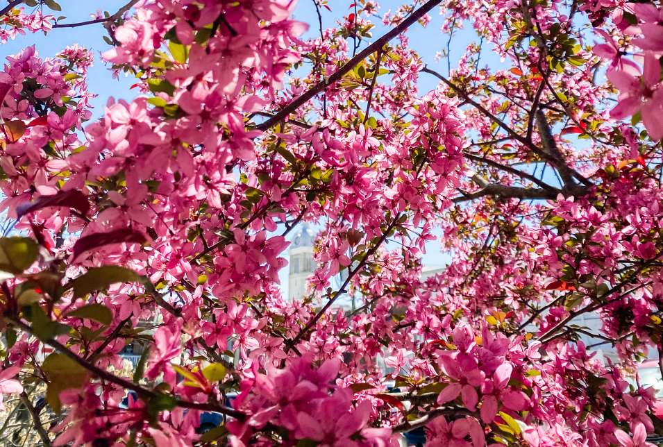 Spring Into the Action in Columbia, TN