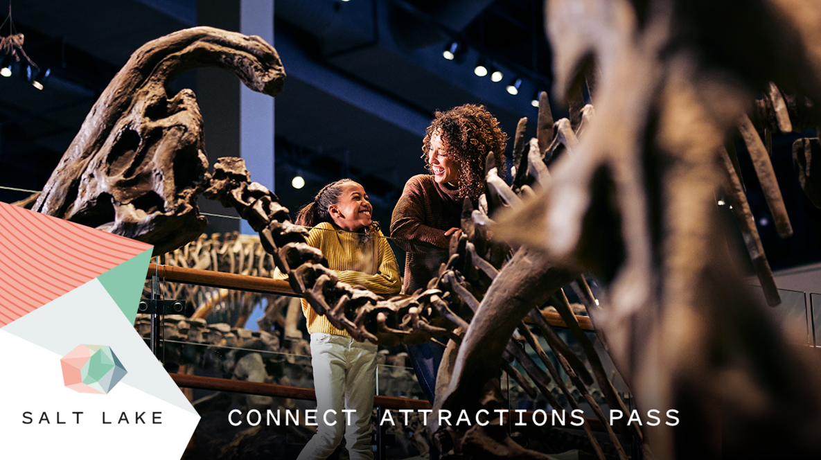 Connect Attractions Pass