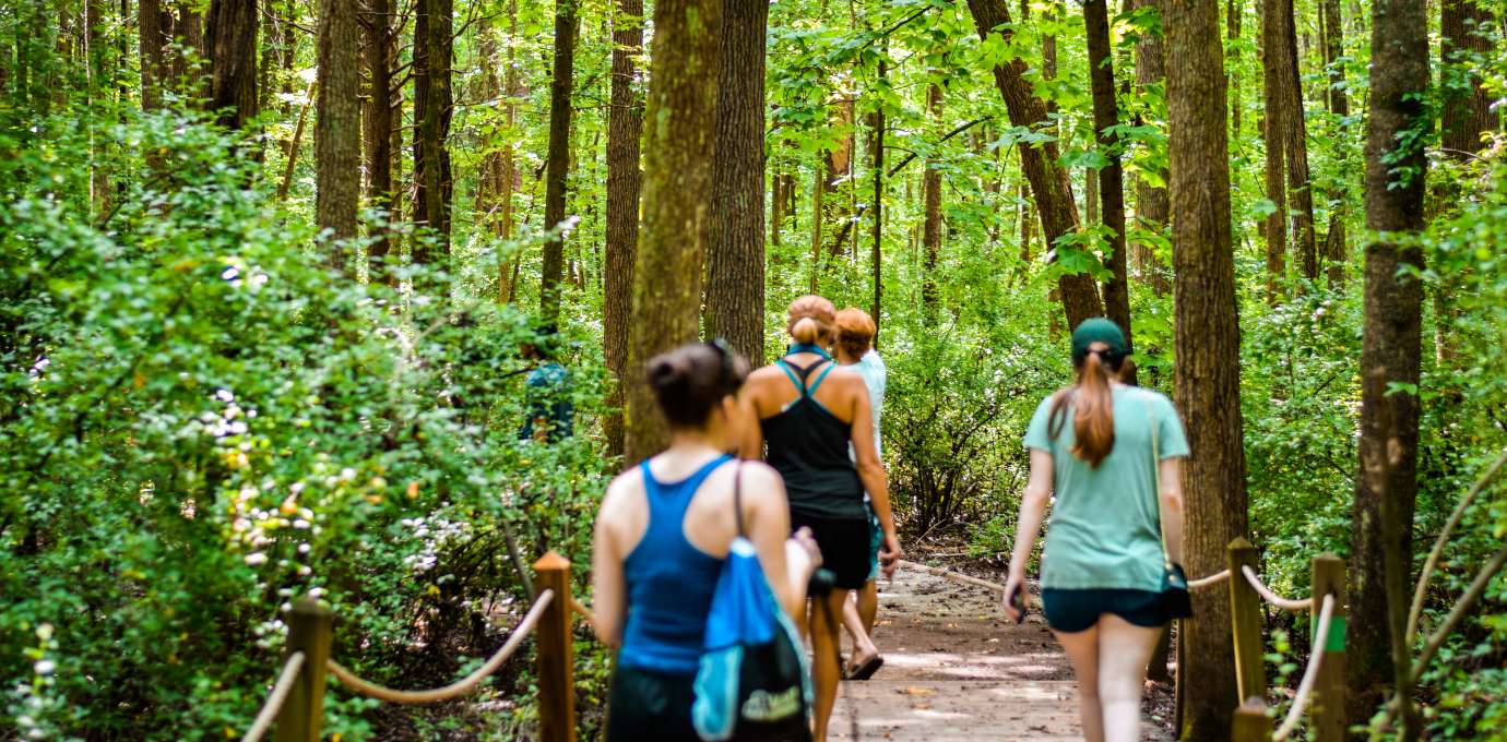 Latta Plantation Trail Map Your 24 Hour Guide To Latta Nature Preserve